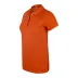 Evolite DeepRaw Kadın Polo T-Shirt / Nefes Alan - Beden: S 3
