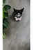 FAMEMUS ACCESSORY 01245674242 Kuromi Mini Kalemtraş (5Cm) 2