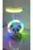 FAMEMUS ACCESSORY 123234565yy Panda Masa Üzeri Gece Lambası Hediyelik Ürün Boyut:20 Cm 1