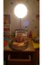 FAMEMUS ACCESSORY 222234433243 Capybara Masa Üzeri Gece Lambası Boyut 25Cm 1