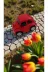 FAMEMUS ACCESSORY 24413 Metal Çek Bırak Vosvos Boyut: 7Cm 3