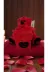 FAMEMUS ACCESSORY qweweqwewqeqw Sevgililer Gününe Özel I Love You Kutulu Ayıcık Boyut:15Cm 4
