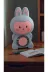 FAMEMUS ACCESSORY SSFSDFD Labubu Hem Fan Hem Gece Lambası 1