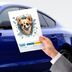 Fulcar Chiuahua Araç Stickerı 2
