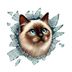 Fulcar Siamesse Araç Stickerı 3