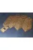 GENDEC GEN5.5X6.5CM01-110 Kapı Numarası 5.5X6.5 Cm Metalik Altın Sarı Üzeri Siyah Baskı Kendinden Yapışkanlı No:1 Den 110’A 3
