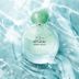 Giorgio Armani güngörenw534 Gioia Edp 100 Ml 4