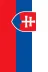 GKBY689 Slovakya Bayrağı 30X45 Cm. 4