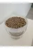 GoldMind pltkmry-3 Cp Pelet Yem 3Kg Tavşan, Chinchilla, Ginepig, Hamster, Için Uygun Kemirgen Yemi. 3Kg 3
