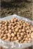 GÜLTEKİN BAL A Nohut Köy 1 Kg 2