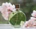 güngörenw257 Chanel Chance Fraiche Edp 100 Ml 4