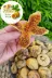 HAKER İNCİR HAKER002 Dağ İnciri Süzme 1000 Gr Organik Kuru İncir (Yumuşak) Tabak Içinde 1