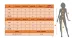 Kadın Uzun Kollu Yuvarlak Yakalı Tül Detaylı Ithal Krep Bluz Ve Pantolon Ikili Takım - S-M - Siyah 4