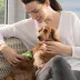 Kedi ve Köpekler İçin Uzun Tüylü Köpek Tarağı Tüy Toplayıcı tarak Small (4745) 2