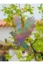 KOVMATİK DFHG3 Kuş Engelleyici Hologram Kartal 30X30Cm 3