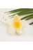 laviyan B01-MT-000045 Çiçek Mandal Toka Aloha/hawaii Saç Tokası Parlak Lotus Toka 3