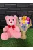 lenostra Ayicik-Buketi79 Kadina Hediye 35Cm Pembe Ayıcık Ve Rengarenk Işıklı 6Lı Ayıcık Buketi 1