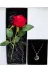 lenostra Set-Hediyelik8 Sevgiliye Hediye Romantik Kırmızı Gül Ve Gezegen Temalı Çelik Kolye Sevgili Ozel Kiz Arkadasa 1