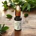 Lezzetseli Yöresel NANE YAĞI Doğal Nane Uçucu Yaği (20 Ml) 3