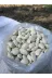 Lobye İri Fasülye 5 Kg 2