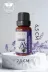 Lofty LoftyB10ML5 Lavanta Uçucu Yağ Buhurdanlık Esansı Oda Kokusu Uçucu Esansiyel Yağ Buhur Yağı 10Ml 4