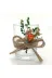 Lora Davet TYC00176651777 Damat Kahve Fincan Takımı Yuvarlak (1 Adet) Krem 54153 3