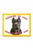 Makri kopekcanecorsosari Cane Corso Dikkat Köpek Var Levhası Beware Of Dog Sarı 1