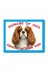 Makri kopekcharles Cavalier King Charles Spaniel Dikkat Köpek Var Levhası Beware Of Dog 1