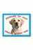 Makri kopeklabrador Labrador Retriever Dikkat Köpek Var Levhası Beware Of Dog 1