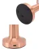Mantar Gold 4