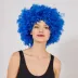 Mavi Renk Kıvırcık Afro Bonus Peruk (4745) 2