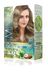 MAXX DELUXE RT-RYL-ARMAXX81 Natural Beauty Amonyaksız Saç Boyası 8.1 Küllü Açık Kumral 1