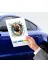 MEKs TTT-24242416939 Fulcar French Bulldog Araç Stickerı 3