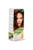 MM Beauty 02020928-66 Fındık Kabuğu Beauty Bitkisel Saç Boyası M06 1