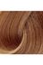 Neva Color RT-RYL-1NC1009-10 Premium 10 Platin - Kalıcı Krem Saç Boyası 50 G Tüp 2