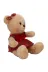 NW NessiWorld YsfxmlS00004810 Kıyafetli Peluş Ayı 32 Cm 2