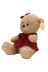 NW NessiWorld YsfxmlS00004810 Kıyafetli Peluş Ayı 32 Cm 3