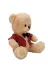 NW NessiWorld YsfxmlS00004810 Kıyafetli Peluş Ayı 32 Cm 4