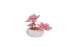 P655064 PANLOS PEMBE NİLÜFER SUKULENT MODEL 82 PARÇA BLOCK OYUNCAK 1
