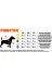 Pawstar C2380 Yeşil Crab Kedi Köpek Tişörtü - Kedi Köpek Kıyafeti 4