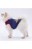 Pawstar ST2480 Lacivert Summer Time Kedi Köpek Tişörtü - Kedi Köpek Kıyafeti 3