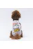 Pawstar T2480 Gri Travel Kedi Köpek Tişörtü - Kedi Köpek Kıyafeti 1