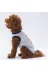 Pawstar T2480 Gri Travel Kedi Köpek Tişörtü - Kedi Köpek Kıyafeti 3