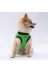 Pawstar T2480 Yeşil Travel Kedi Köpek Tişörtü - Kedi Köpek Kıyafeti 2