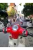 Peugeot Django Ön Cam 2017-2026 Model 37cm Füme Renkli 4mm APARATSIZ 4