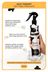 Royaleks RT-RYL-HMR24300 Milk Therapy Çift Fazlı Kondisyoner Fön Suyu 400 Ml - Mrfs 2