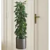 Saksılı Bitki Tasarımlı Yapışkanlı Sticker Resim 90*30 cm 2
