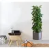 Saksılı Bitki Tasarımlı Yapışkanlı Sticker Resim 90*30 cm 3