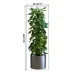 Saksılı Bitki Tasarımlı Yapışkanlı Sticker Resim 90*30 cm 4