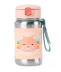 Skip Hop Zoo Pipetli Paslanmaz Çelik Suluk 350 ml Kedi 1